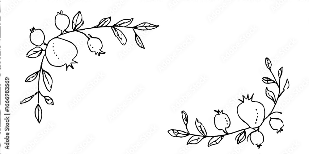 Fototapeta premium Hand drawn doodle of pomegranate branch corner for design and decoration