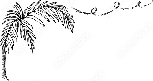 Hand drawn corner palm leaf with doodle curl design for artistic decoration