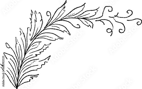 Hand drawn doodle corner with palm leaf curl design for artistic projects