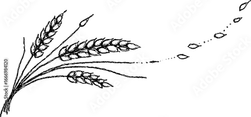 Hand drawn wheat stalk doodle curl design for corner decoration