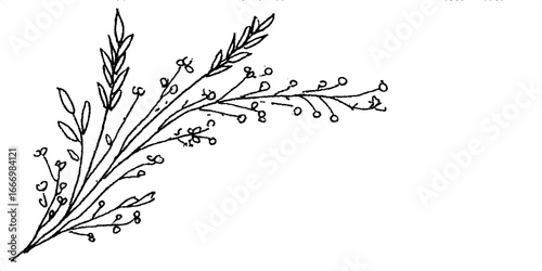 Hand drawn doodle of wheat stalk and curl in corner design for decoration
