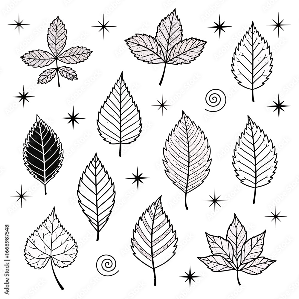 Obraz premium Collection of Detailed Line Art Botanical Leaves - Black and White Drawings of Various Leaf Shapes and Textures.