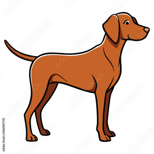 Illustration of a Vizsla Dog Standing Proudly