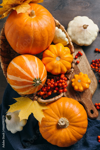 Autumn composition for Thanksgiving Day, still life background. Pumpkin harvest in basket, vegetables, patissons, autumn leaves, red berries on wooden table. Fall decoration design. Top view, flat lay