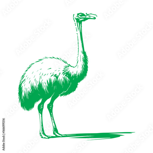 Vector art of green ostrich standing