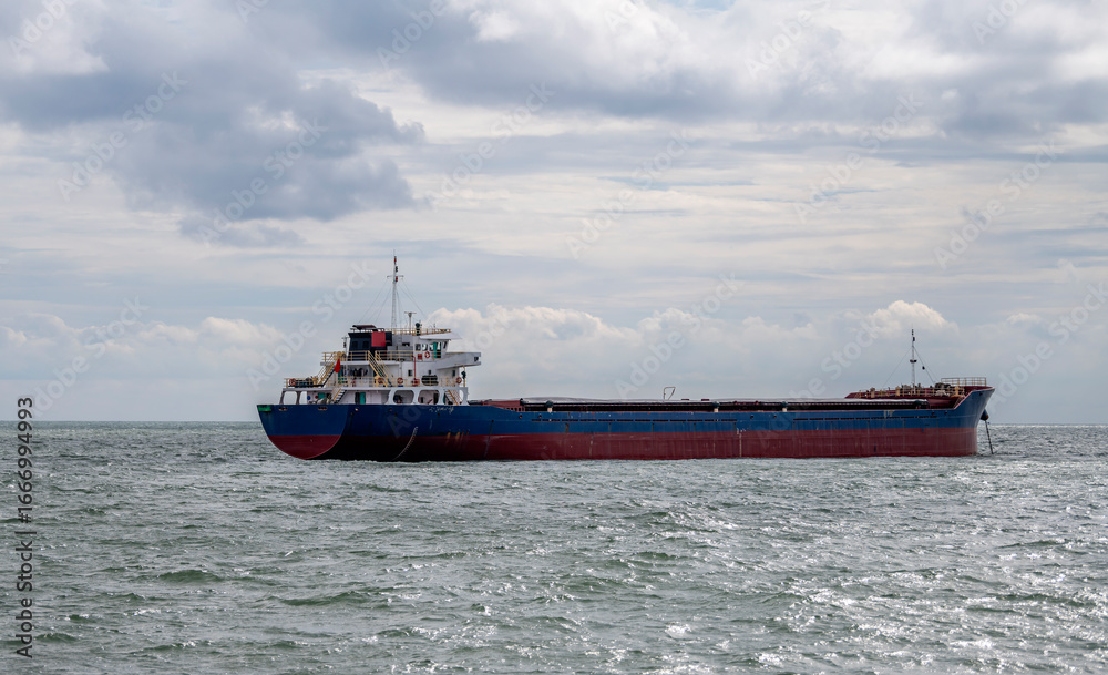 Fototapeta premium The bulk ship on spot-check