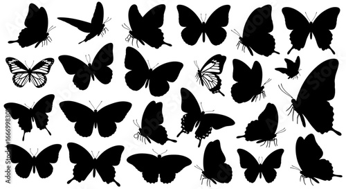 A collection of various butterfly silhouettes, displaying different poses and wing positions, in black.