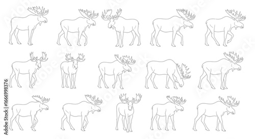 A collection of fifteen line art illustrations depicting moose in various poses, including standing and walking, with different antler shapes.