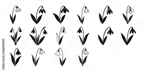 Collection of Elegant Snowdrop Flower Illustrations Black and White Vector Graphics