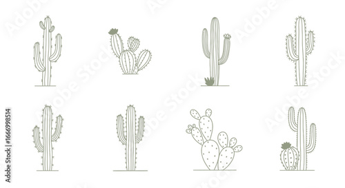 Eight stylized illustrations of various cacti species, each with unique shapes and details.