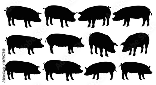 Dynamic silhouettes of pigs showcase farm life, agriculture, and livestock industry themes