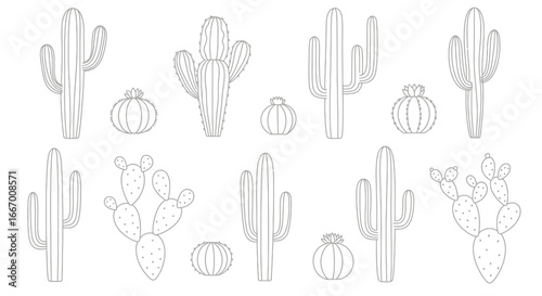 Charming collection of stylized desert cacti, perfect for unique illustrations and vibrant designs.