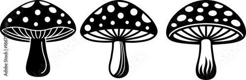 Mushroom set, Set of mushrooms, mushroom collection, Vector of mushroom, mushroom silhouette, mushroom isolated on white background