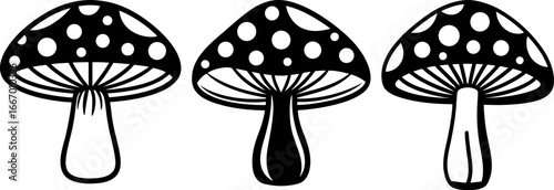 Mushroom set, Set of mushrooms, mushroom collection, Vector of mushroom, mushroom silhouette, mushroom isolated on white background