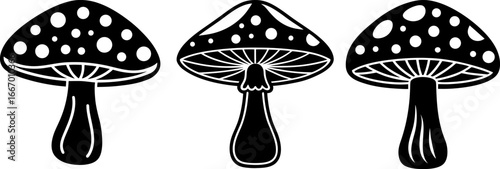 Mushroom set, Set of mushrooms, mushroom collection, Vector of mushroom, mushroom silhouette, mushroom isolated on white background