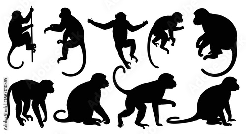 Dynamic monkey silhouettes showcase playful agility and natural poses perfect for jungle or wildlife themes