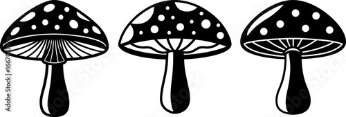 Mushroom set, Set of mushrooms, mushroom collection, Vector of mushroom, mushroom silhouette, mushroom isolated on white background