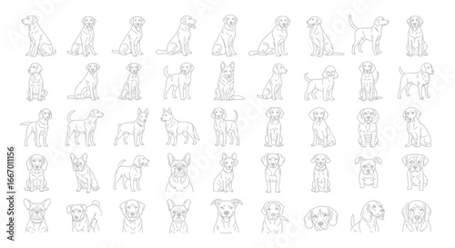 Charming collection of diverse dog breeds illustrated in a clean, modern line art style for playful designs