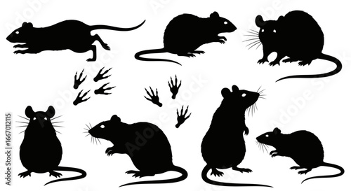 Dynamic collection of black rat silhouettes in various poses with paw prints for diverse design needs