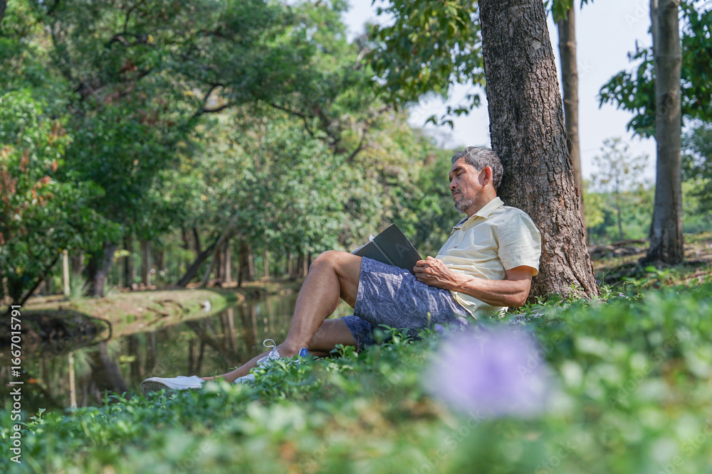 Fototapeta premium senior man fell asleep while reading a book under a tree in nature,elderly retired hobby,relaxation