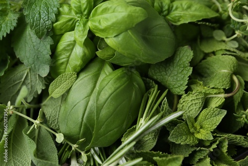 Different fresh green herbs as background, top view