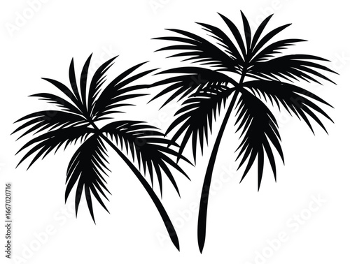 Black palm trees silhouette vector graphic on isolated white background design