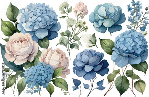 Blue and White Floral Collection Hydrangea, Myosotis, Rose, Peony, and Eucalyptus Elements for Bouquets, Patterns, Invitations, and Fashion Design .