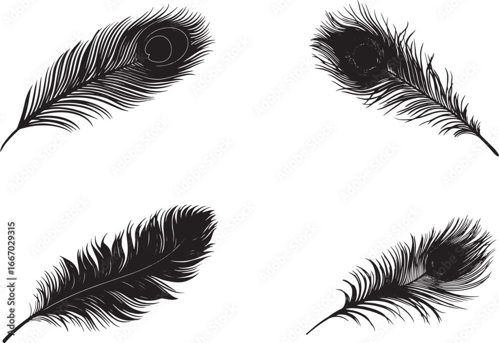 Obraz premium Black and white peacock feather vector illustration, a simple silhouette with clean edges, no shadow or background details, in a vector flat style on an isolated white background.eps
