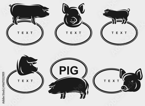 Pig labels and icon set. Collection icons pig. Vector