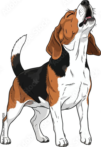 Cute Beagle dog howling or baying vector illustration