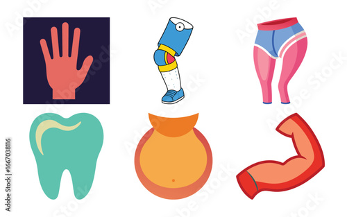 Vibrant Body Part Icons Hand, Leg, Thighs, Tooth, Belly, Bicep Illustrations