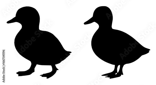 Silhouettes of Two Ducks, Black Color Isolated on White Background