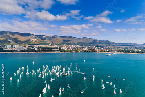 Tableau sur toile Sailing regatta in Gelendzhik Bay