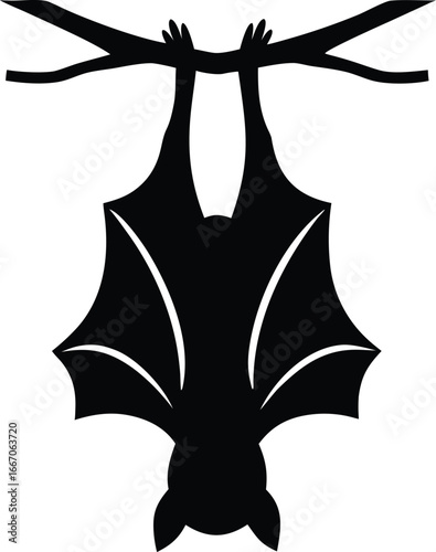 Silhouette of a bat hanging from a dry branch. 