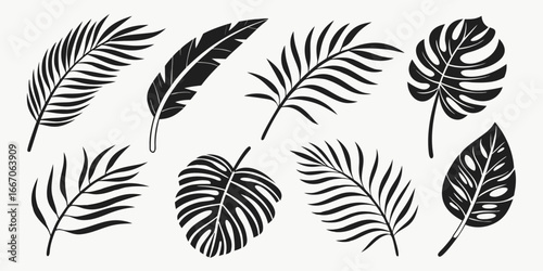 Black Silhouette Tropical Leaves Collection