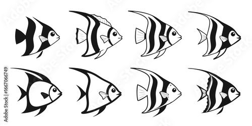 Collection of Stylized Black and White Angelfish Illustrations