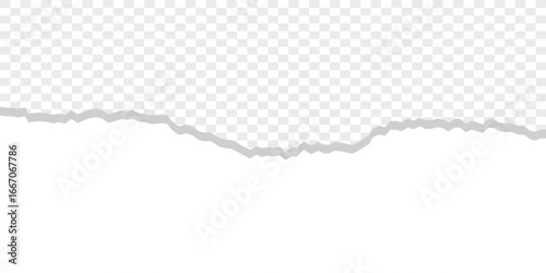 Torn Paper. Transparent. PNG Effect. A realistic vector illustration of a ripped paper edge with a shadow on a transparent background for use as a creative overlay or collage element.