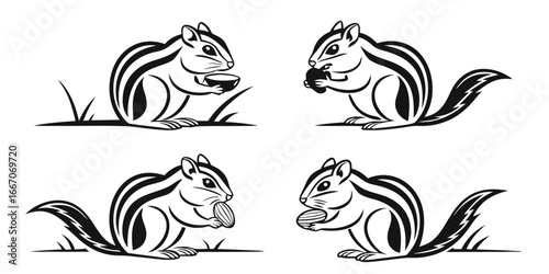 Cute Chipmunk Illustrations with Nuts and Seeds