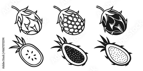 Dragon Fruit Illustrations: Whole and Halved