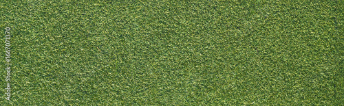 Wallpaper Mural Artificial grass texture with rough surface, panoramic view Torontodigital.ca