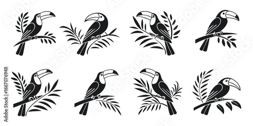 Stylized Toucan Bird Illustrations on Branches
