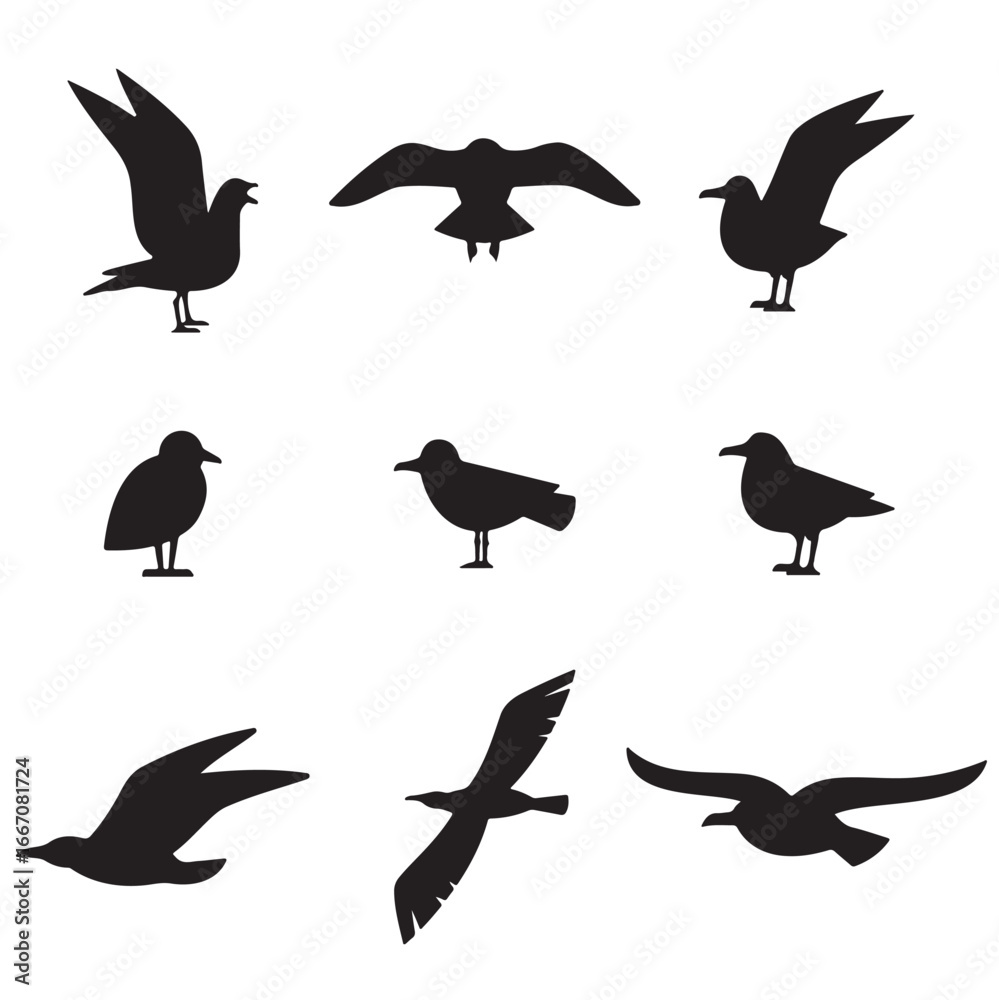 Obraz premium Seagull silhouette set isolated on white background vector. Set flying seagull