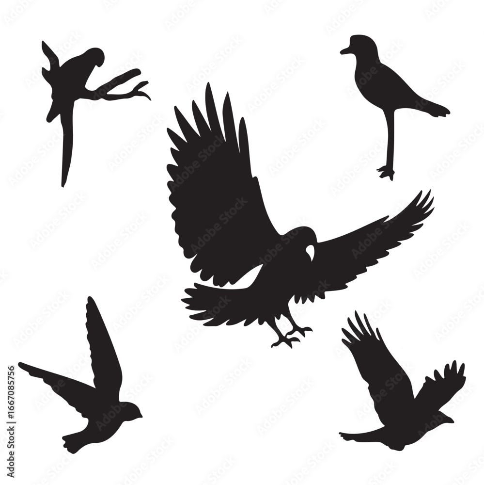 Obraz premium set of silhouettes of birds