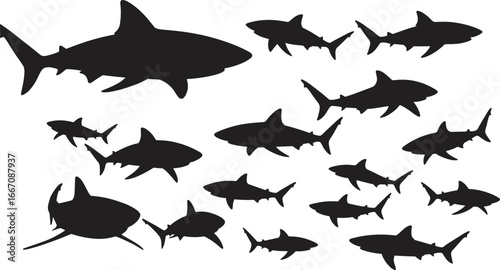 Group of shark silhouettes swimming together, various sizes, black vector illustration, ocean marine life, aquatic predators, sea wildlife design, underwater animal concept