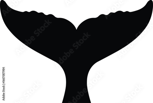 Whale tail silhouette vector illustration, black whale fluke on white background, marine wildlife design, ocean animal symbol for sea and nature themes