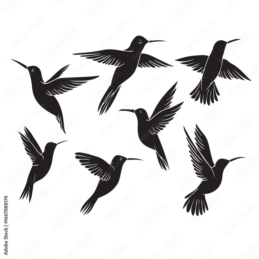 Obraz premium hand drawns silhouette of hummingbird. vector illustration