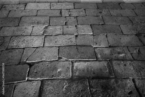 A black and white photo of a brick sidewalk