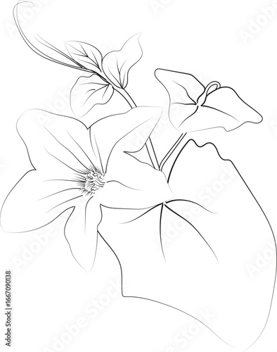 Vector illustration of a beautiful ivy flower bouquet, hand-drawn coloring book of artistic, blossom flowers ivy isolated on a white background, sketch art leaf branch botanic collection adults