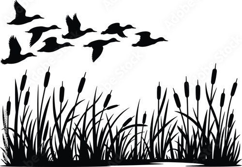 Silhouette of flying ducks over wetland reeds, vector nature illustration ideal for wildlife, hunting, lake scene, outdoor design, or natural habitat themes