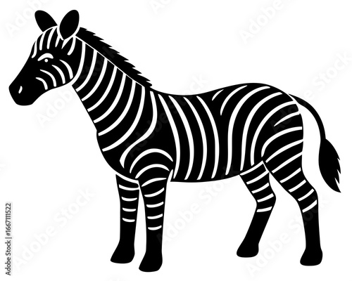zebra vector illustration